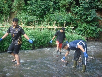 Picture11 Picture11